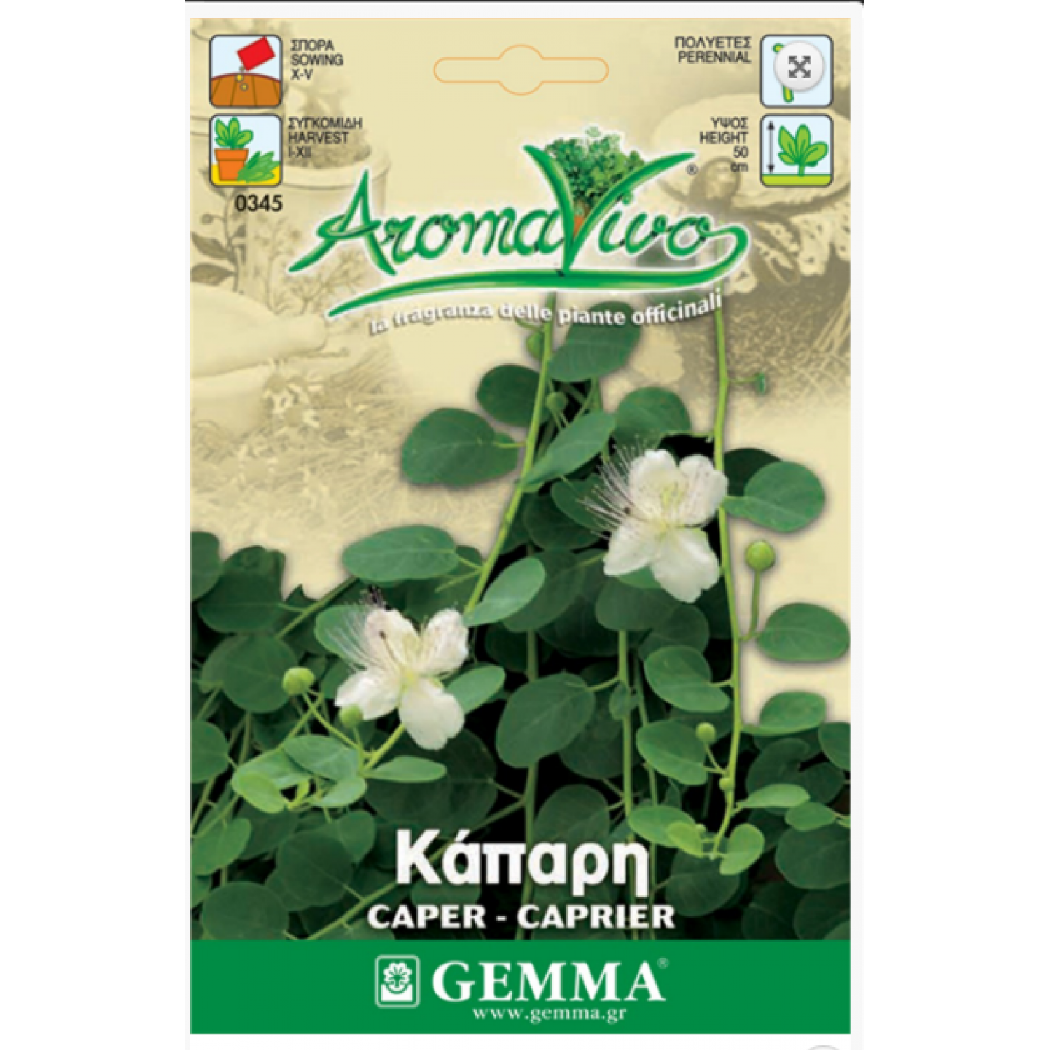Κάπαρη ή Κάππαρις Σπόροι Φακελάκι 12646 (Capparis spinosa) - Σπόρος για Φυτά Κάπαρης Κάπαρη ή Κάππαρις Σπόροι Φακελάκι 12646 (Capparis spinosa)