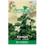 Κάπαρη ή Κάππαρις Σπόροι Φακελάκι 12646 (Capparis spinosa) - Σπόρος για Φυτά Κάπαρης Κάπαρη ή Κάππαρις Σπόροι Φακελάκι 12646 (Capparis spinosa)