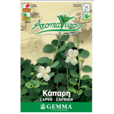 Κάπαρη ή Κάππαρις Σπόροι Φακελάκι 12646 (Capparis spinosa)