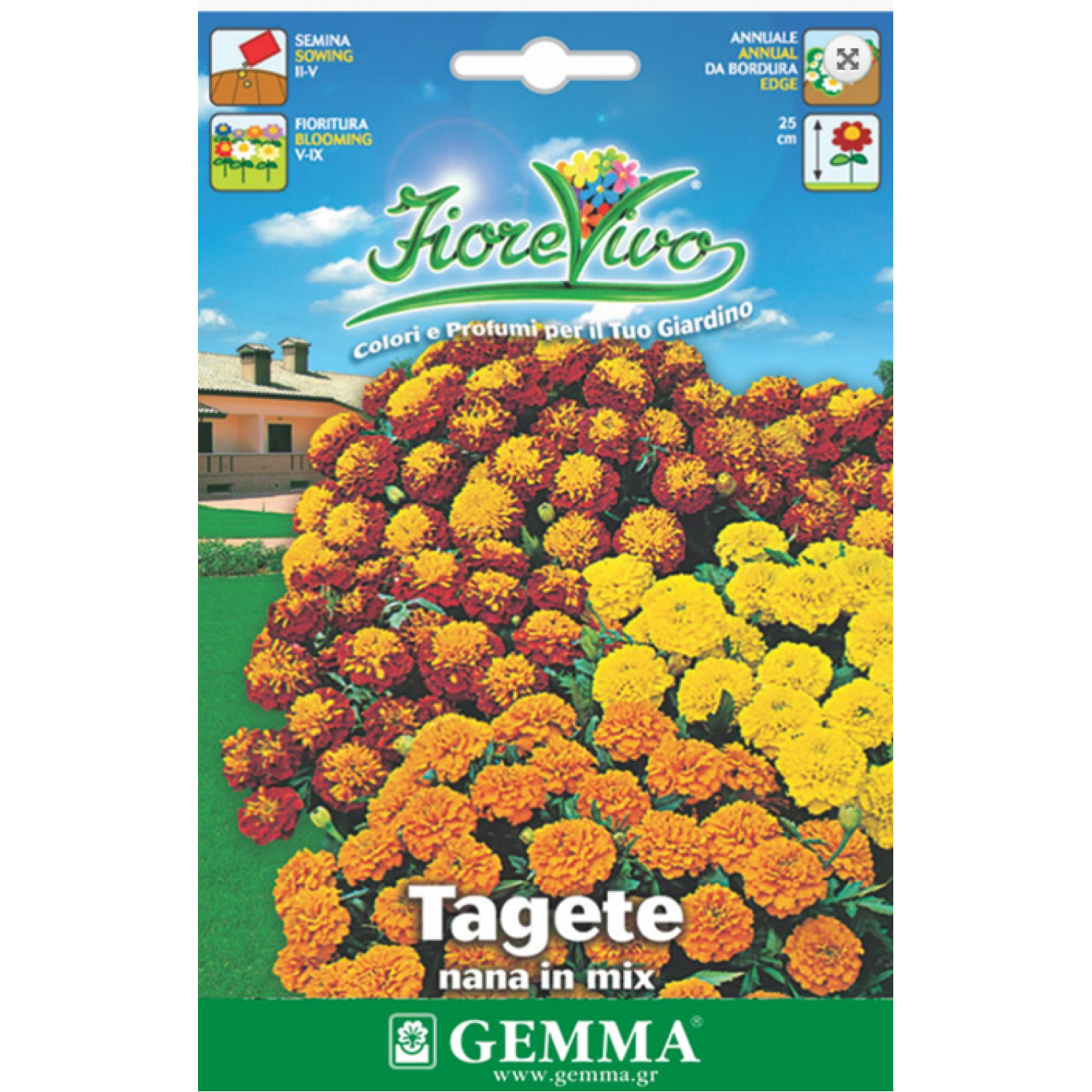 Aztec Marigold Dwarf Border Mix Seeds 0.9g-Tagetes×erecta