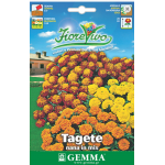 Aztec Marigold Dwarf Border Mix Seeds 0.9g-Tagetes×erecta