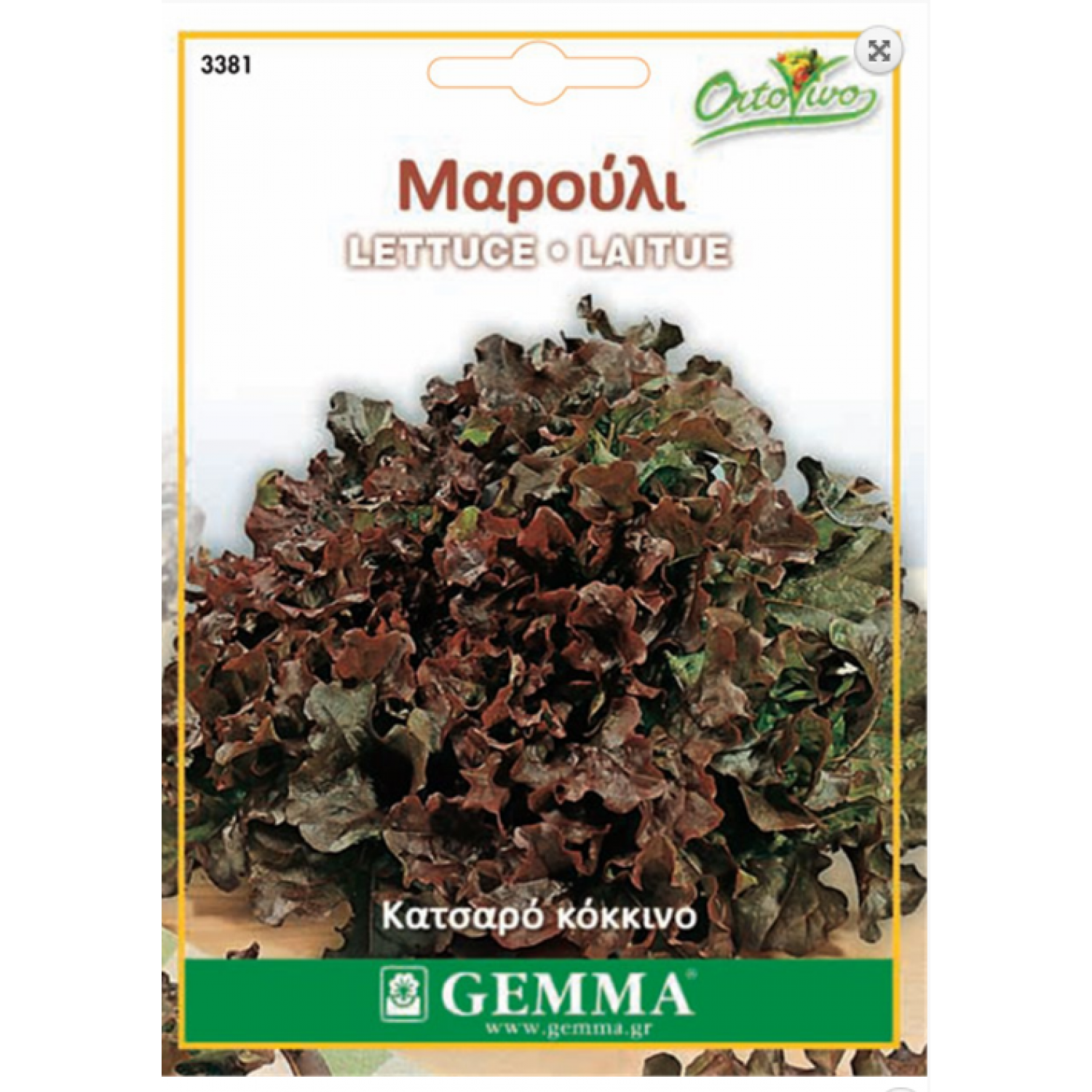 Μαρούλι Κατσαρό Κόκκινο Σπόροι (Lactuca sativa) Μαρούλι Κατσαρό Κόκκινο Σπόροι (Lactuca sativa) | kipogeorgiki.live