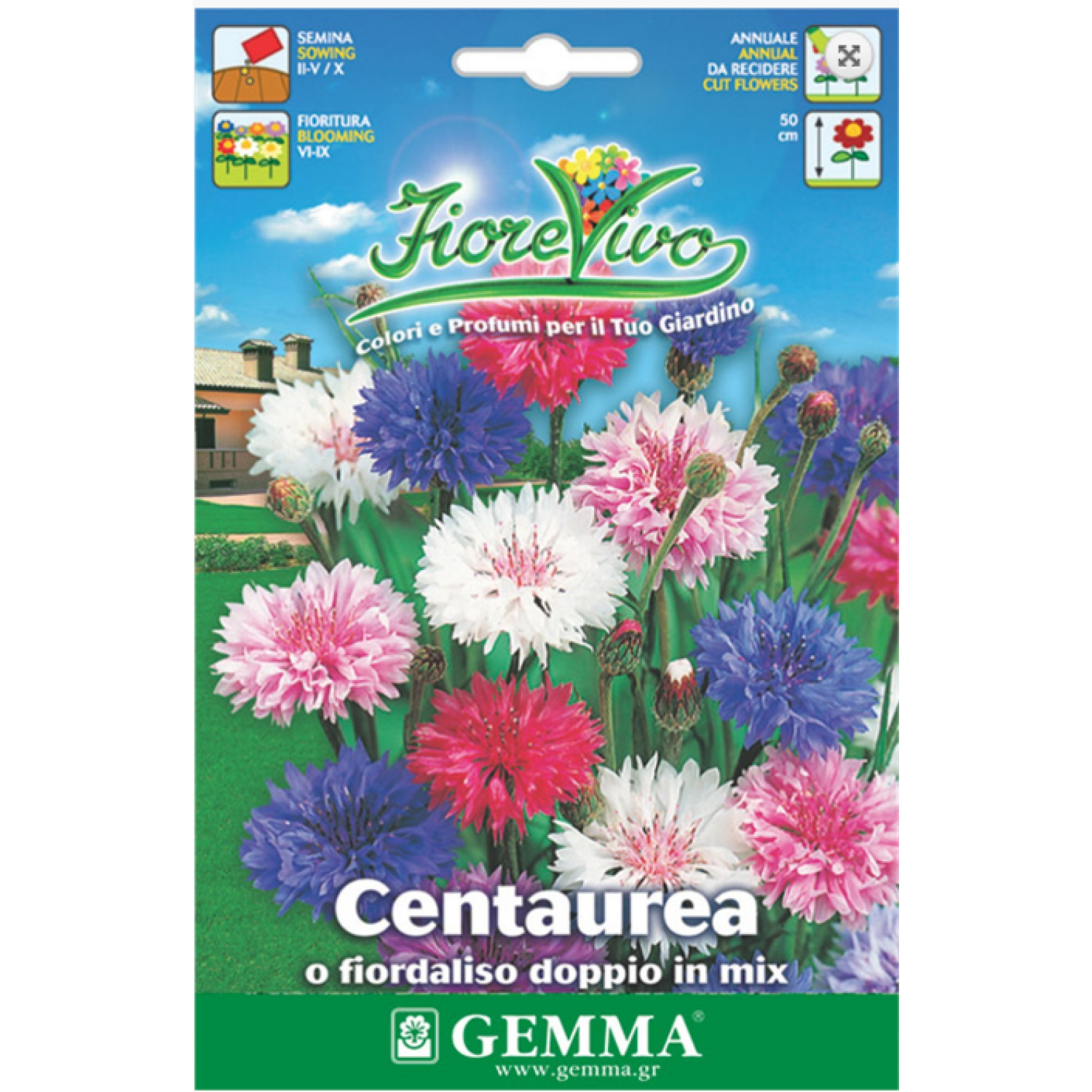 Ornamental Double Knapweed Mix Seeds 1.5g Packet (Centaurea spp.) - Seed for Ornamental Knapweeds Ornamental Double Knapweed Mix Seeds 1.5g Packet