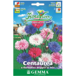 Ornamental Double Knapweed Mix Seeds 1.5g Packet (Centaurea spp.) - Seed for Ornamental Knapweeds Ornamental Double Knapweed Mix Seeds 1.5g Packet