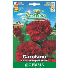 Γαρύφαλλο Διπλό Κόκκινο 0,4g Σπόροι-Dianthus caryophyllus