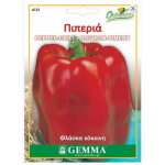 Capsicum annuum (Asti red)|kipogeorgiki.live