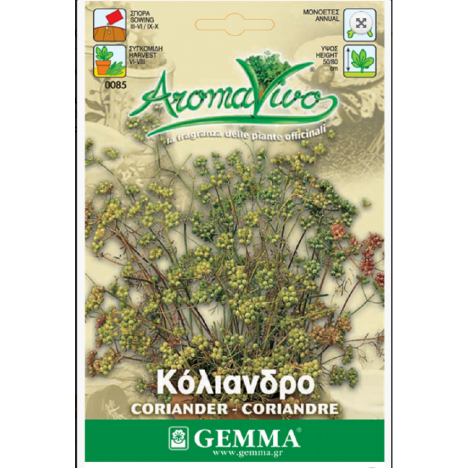Κόλιανδρος ή Κορίανδρον Σπόροι Φακελάκι 12649 (Coriandrum sativum) - Σπόρος για Κόλιανδρους Κόλιανδρος ή Κορίανδρον Σπόροι (Coriandrum sativum)