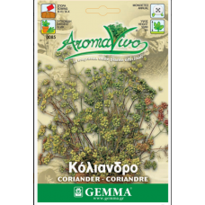 Κόλιανδρος ή Κορίανδρον Σπόροι (Coriandrum sativum)