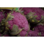 Κουνουπίδι Μωβ Sicily Purple Σπόροι (Brassica oleracea var. botrytis) | kipogeorgiki.live