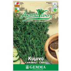 Κύμινο Άγριο Σπόροι Φακελάκι 12664 (Carum carvi)