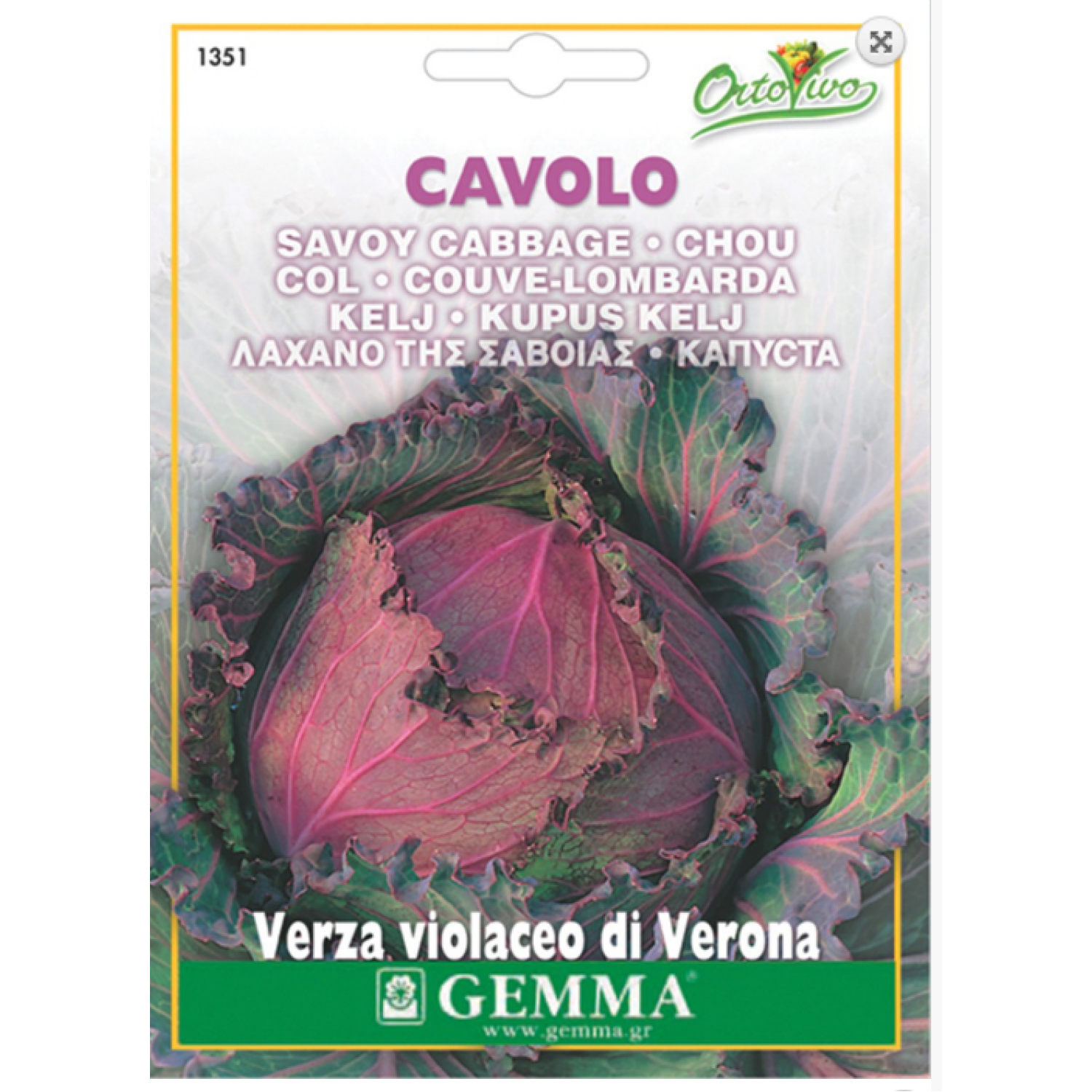 Cabbage Verona Purple Seeds (Brassica oleracea var. capitata) Cabbage Verona Purple Seeds (Brassica oleracea var. capitata) | kipogeorgiki.live