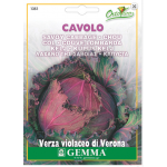 Cabbage Verona Purple Seeds (Brassica oleracea var. capitata) Cabbage Verona Purple Seeds (Brassica oleracea var. capitata) | kipogeorgiki.live