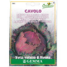 Cabbage Verona Purple Seeds (Brassica oleracea var. capitata) | kipogeorgiki.live