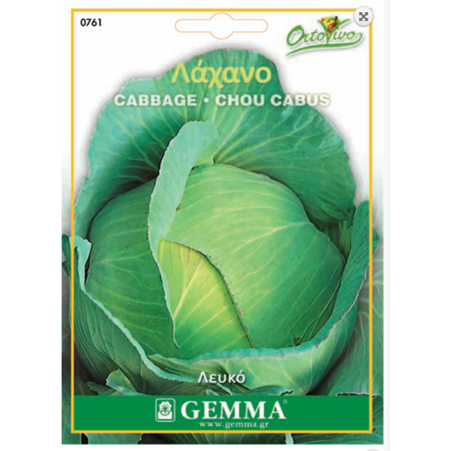 Cabbage White Brunswich Seeds (Brassica oleracea var. capitata) | kipogeorgiki.live