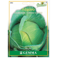 Λάχανο Λευκό Όψιμο Brunswich 2g Σπόροι Φάκελος (Brassica oleracea var. capitata 'Brunswick')