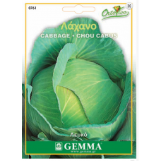 Λάχανο Λευκό Brunswich Σπόροι (Brassica oleracea var. capitata)  | kipogeorgiki.live