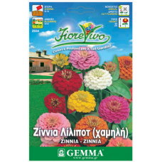 Ζίννια Pompon Κοντή Μίγμα 0,9g Σπόροι (Zinnia elegans)