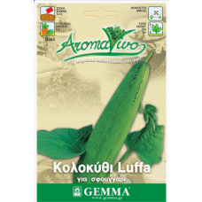 Κολοκύθι Σφουγγαριά Luffa (Luffa aegyptiaca) | kipogeorgiki.live
