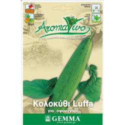 Sponge Gourd (Luffa aegyptiaca) | kipogeorgiki.live