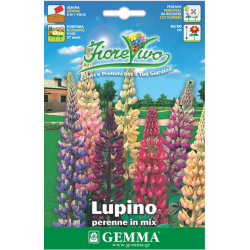 Λούπινο Μίγμα 1,8g Σπόροι Φάκελος (Lupinus polyphyllus)