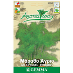 Fennel Seeds Packet 12652 (Foeniculum vulgare) - Seed for Fennels Fennel Seeds Packet 12652 (Foeniculum vulgare)
