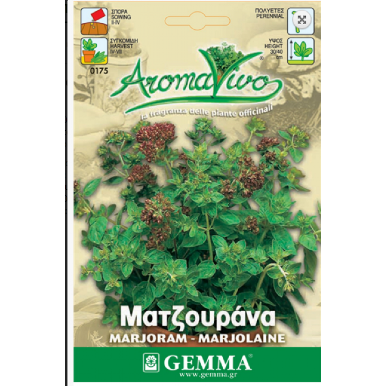 Μαντζουράνα Σπόροι Φακελάκι 12653 (Origanum majorana) - Σπόρος για Μαντζουράνες Ματζουράνα Σπόροι Φακελάκι 12653 (Origanum majorana)