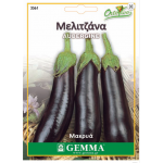 Eggplant long black Seeds (Solanum melongena) Eggplant long black Seeds (Solanum melongena) | kipogeorgiki.live