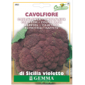 Κουνουπίδι Μωβ Sicily Purple 2g Σπόροι Φάκελος (Brassica oleracea var. botrytis 'Sicily Purple')