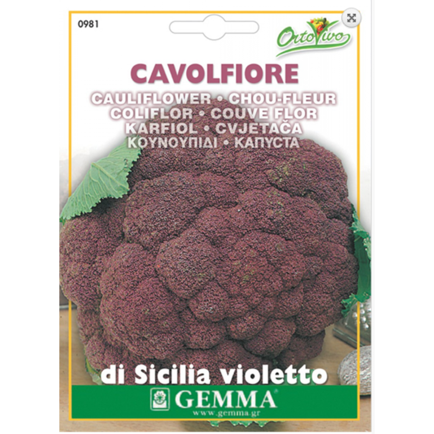 Κουνουπίδι Μωβ Sicily Purple Σπόροι (Brassica oleracea var. botrytis) | kipogeorgiki.live