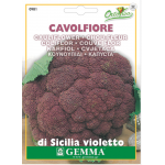 Κουνουπίδι Μωβ Sicily Purple Σπόροι (Brassica oleracea var. botrytis) | kipogeorgiki.live