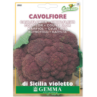 Κουνουπίδι Μωβ Sicily Purple 2g Σπόροι Φάκελος (Brassica oleracea var. botrytis 'Sicily Purple')