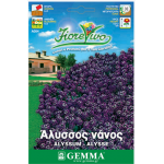 Άλυσσος Νάνος Μωβ 0,8g Σπόροι Φάκελος (Alyssum maritimum) - Σπόρος Άλυσσων Άλυσσος Νάνος Μωβ 0,8g Σπόροι Φάκελος-Alyssum maritimum