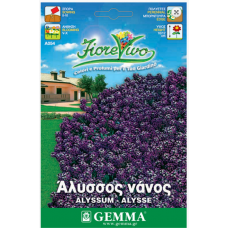 Άλυσσος Νάνος Μωβ 0,8g Σπόροι Φάκελος-Alyssum maritimum