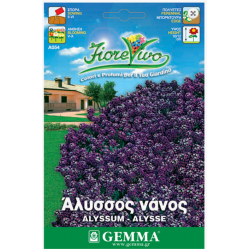 Άλυσσος Νάνος Μωβ 0,8g Σπόροι Φάκελος-Alyssum maritimum