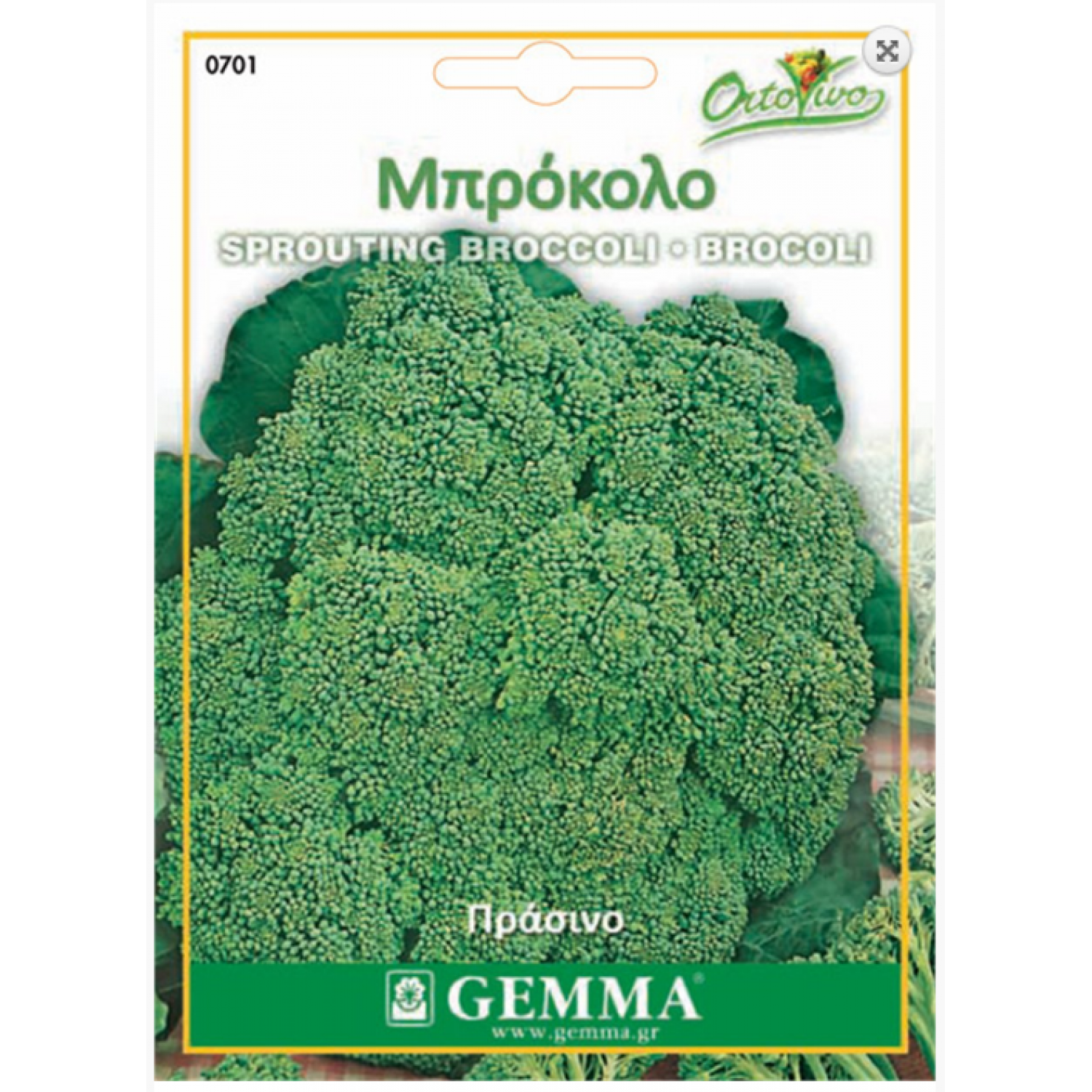 Μπρόκολο Calabrais Σπόροι (Brassica oleracea var. Italic) | |kipogeorgiki.live