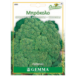 Broccoli Calabrese Seeds (Brassica oleracea var. Italica) | |kipogeorgiki.live