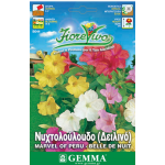Marvel of Peru Seeds 1g Packet (Mirabilis jalapa)
