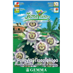 Passiflora incarnata seeds|kipogeorgiki.live Passiflora incarnata seeds|kipogeorgiki.live