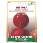 Beetroot Chioggia Seeds (Beta vulgaris) | |kipogeorgiki.live