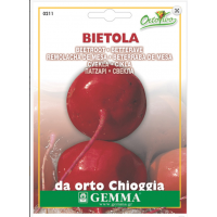 Παντζάρι Στρογγυλό Δίχρωμο Chioggia 10g Σπόροι Φάκελος (Beta vulgaris 'Chioggia')