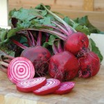 Beetroot Chioggia Seeds (Beta vulgaris) | |kipogeorgiki.live