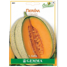 Melon Galia Type Seeds (Cucumis melo) | kipogeorgiki.live