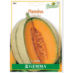 Melon Galia Type Seeds (Cucumis melo) | kipogeorgiki.live