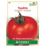 Tomato saint Pierre|kipogeorgiki.live Tomato saint Pierre|kipogeorgiki.live