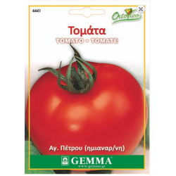 Tomato saint Pierre|kipogeorgiki.live