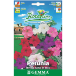 Garden Petunia Mix Seeds 0.2g Packet (Petunia × hybrida 'Nana Compacta') - Seed for Petunias Garden Petunia Mix Seeds 0.2g-Petunia 'Nana Compacta'