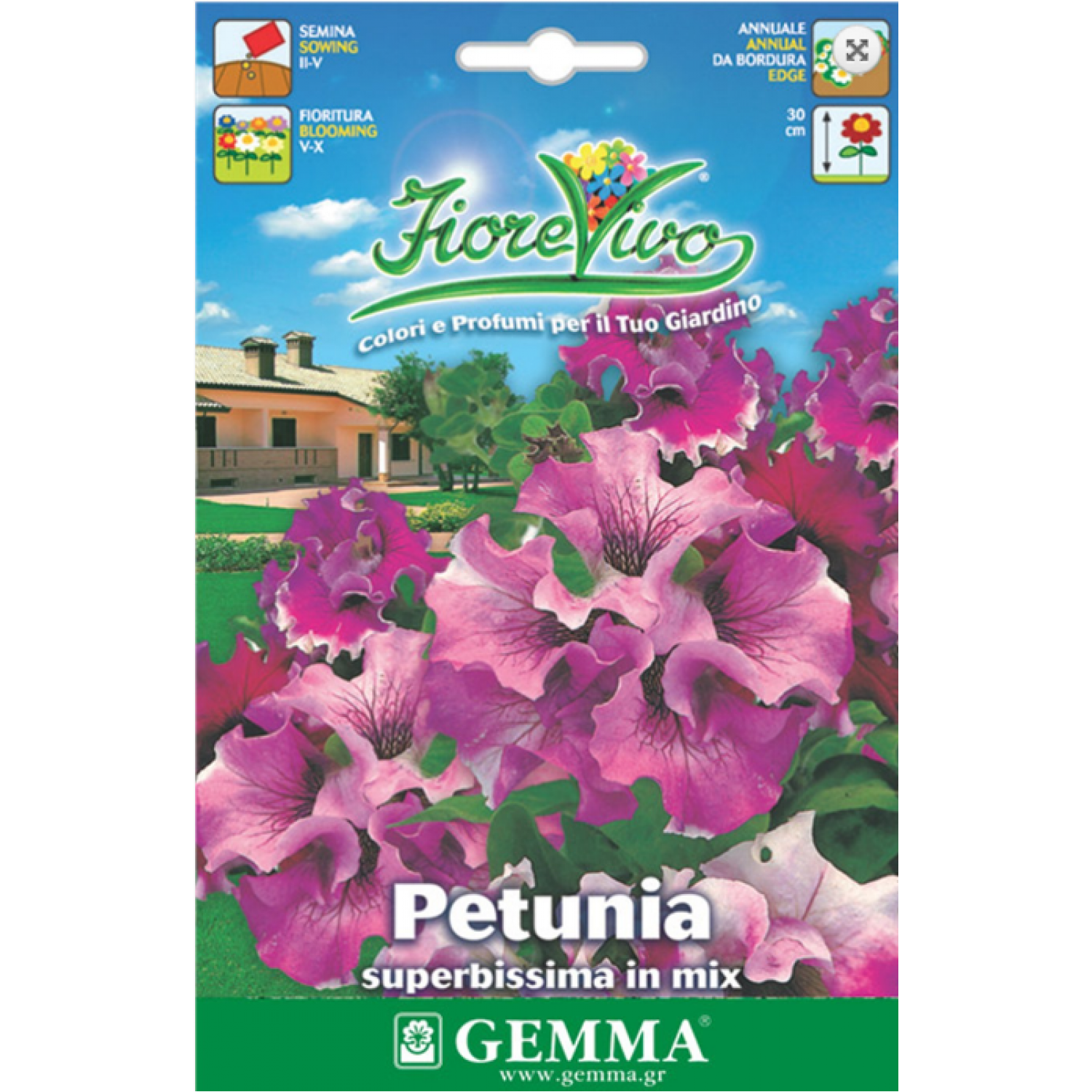 Πετούνια Αστέρι Μίγμα 0,05g Σπόροι Φάκελος (Petunia × hybrida) - Σπόρος για Πετούνιες Πετούνια Αστέρι Μίγμα 0,05g Σπόροι (Petunia × hybrida)