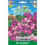 Πετούνια Αστέρι Μίγμα 0,05g Σπόροι Φάκελος (Petunia × hybrida) - Σπόρος για Πετούνιες Πετούνια Αστέρι Μίγμα 0,05g Σπόροι (Petunia × hybrida)
