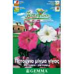 Πετούνια Γίγας Μίγμα 0,2g Σπόροι Φάκελος (Petunia × hybrida) - Σπόρος για Πετούνιες Πετούνια Γίγας Μίγμα 0,2g Σπόροι (Petunia × hybrida)