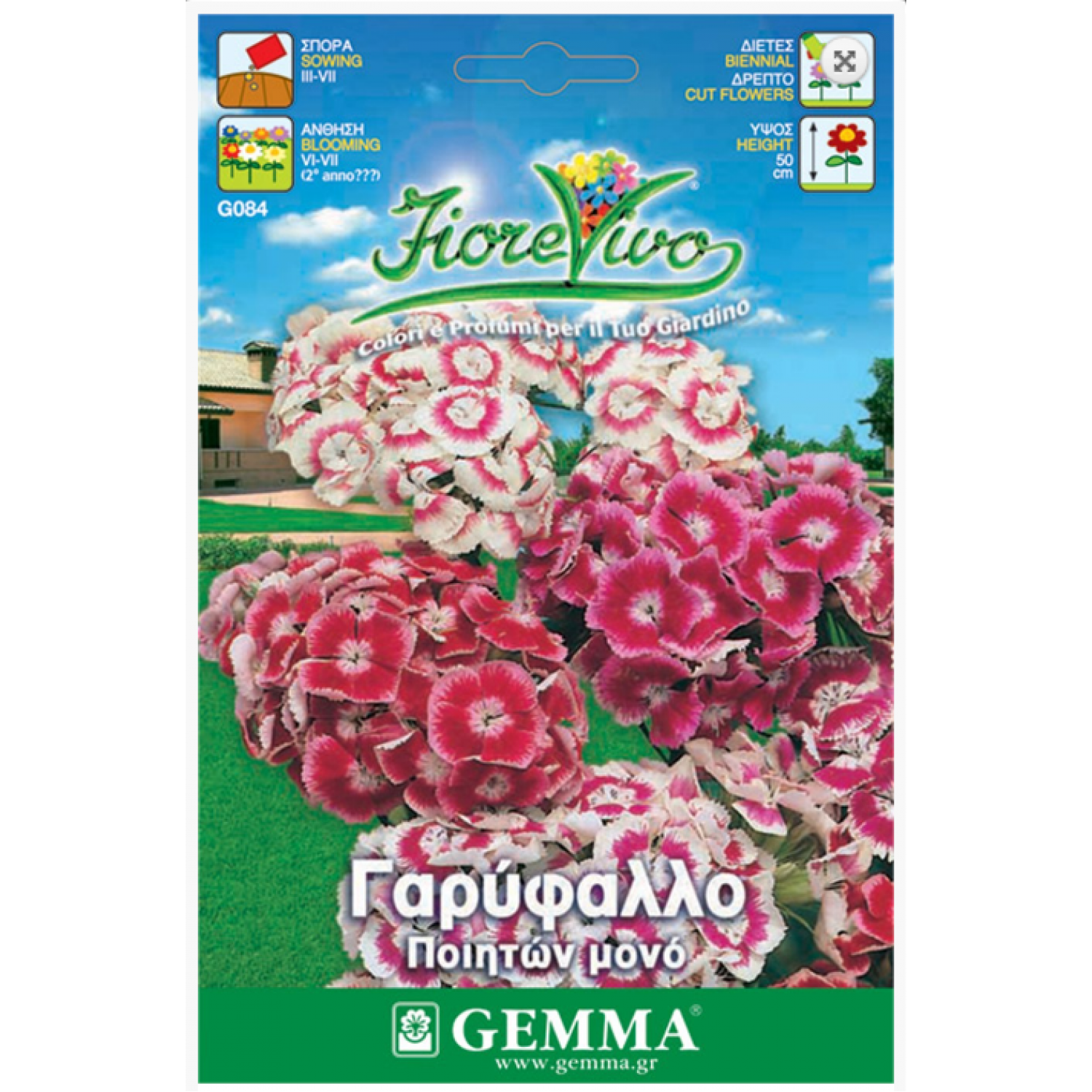 Sweet William Pink Single Mix Seeds 0.4g Packet (Dianthus barbatus) - Seed for Sweet William Sweet William Pink Mix Seeds 0.4g (Dianthus barbatus)